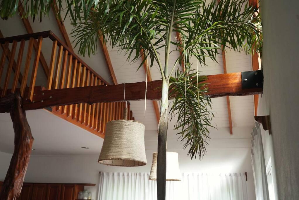 Casa Moes Villa Кахуита Екстериор снимка