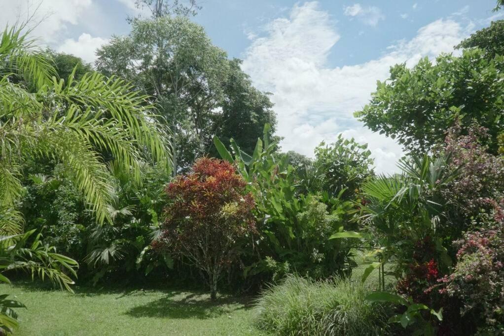 Casa Moes Villa Кахуита Екстериор снимка